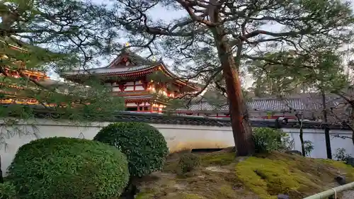 平等院の庭園