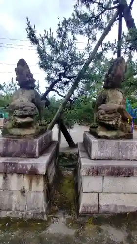 白山神社の狛犬