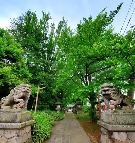 神炊館神社 ⁂奥州須賀川総鎮守⁂の狛犬