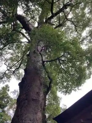 伊勢神宮外宮（豊受大神宮）(三重県)