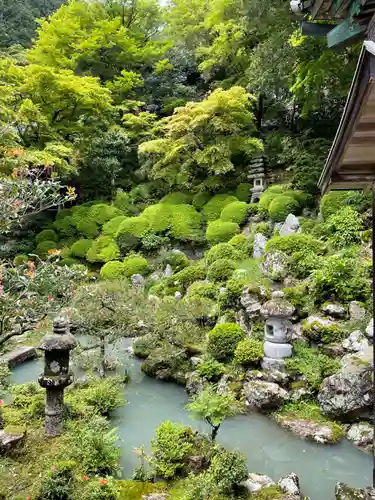 柳谷観音　楊谷寺の庭園