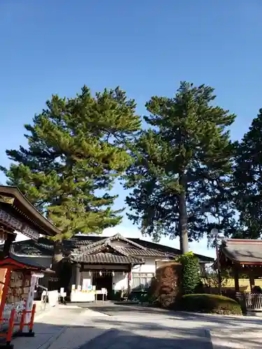中野沼袋氷川神社(東京都)