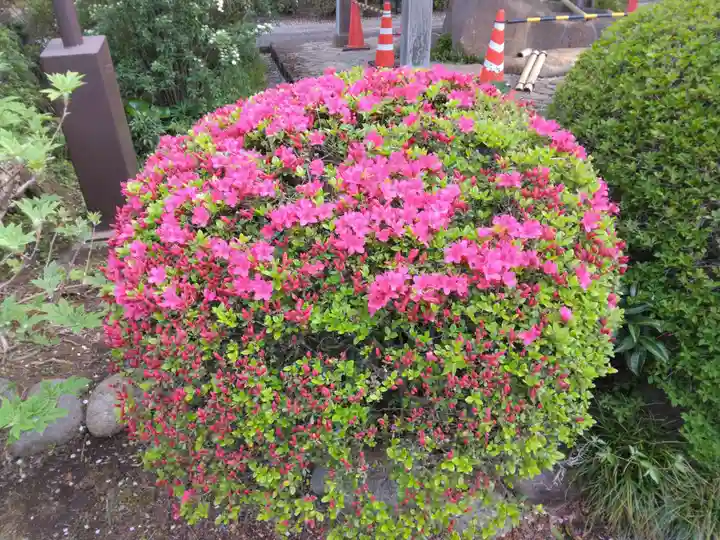 船橋不動尊 寳性寺(東京都)