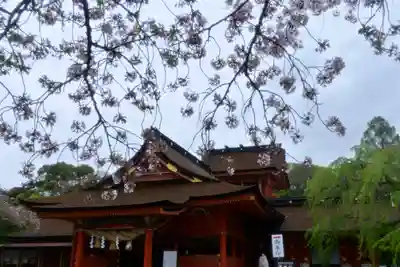富士山本宮浅間大社の本殿・本堂