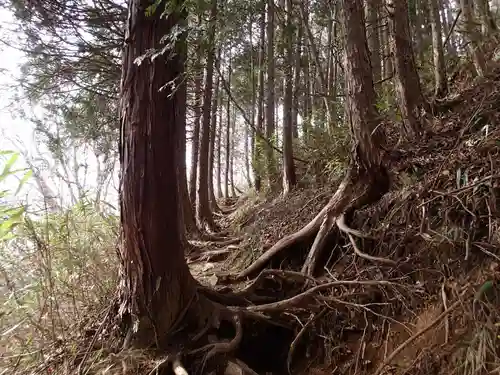 武蔵御嶽神社奥の院の自然