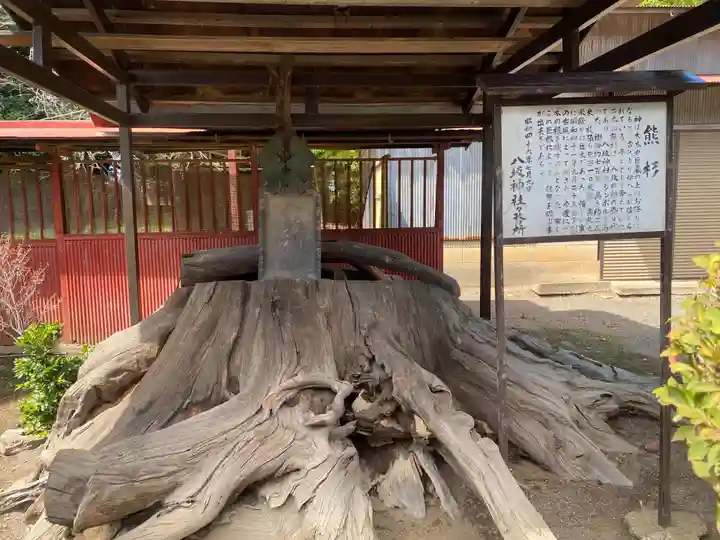 八坂神社(群馬県)