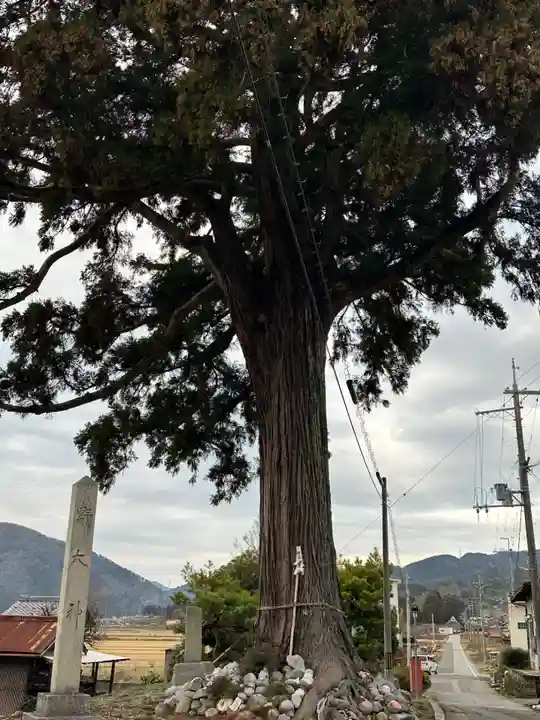 高野神社(滋賀県)