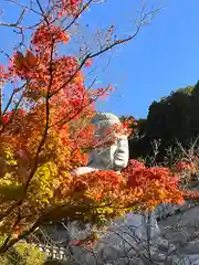 南法華寺（壷阪寺）(奈良県)