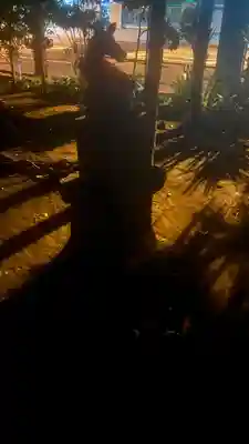 若松稲荷神社(東京都)