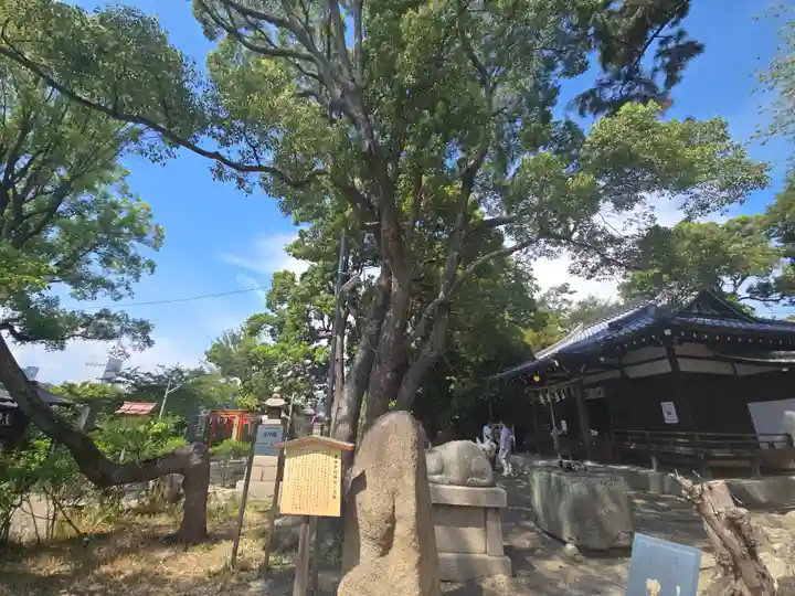 安居神社の自然