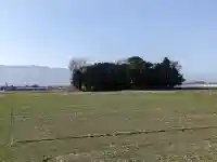 石神社の{uncategorized: "未分類", other: "その他", undefined: "問題あり", building: "その他建物", grave: "お墓", sacred_gate: "鳥居", guardian: "狛犬", statue: "像", buddha: "仏像", history: "歴史", nature: "自然", garden: "庭園", animal: "動物", pagoda: "塔", temizu: "手水舎", mountain_gate: "山門・神門", sanctuary: "本殿・本堂", subordinate: "末社・摂社", art: "芸術", scenery: "景色", jizo: "地蔵", ema: "絵馬", goshuin: "御朱印", omikuji: "おみくじ", items: "授与品その他", amulet: "お守り", goshuincho: "御朱印帳", eats: "食事", festival: "お祭り", votive_dance: "神楽", shichigosan: "七五三参", wedding: "結婚式", experience: "体験その他", initially: "初詣", around: "周辺", anti_infection: "感染症対策"}