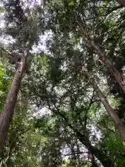 久伊豆神社(埼玉県)