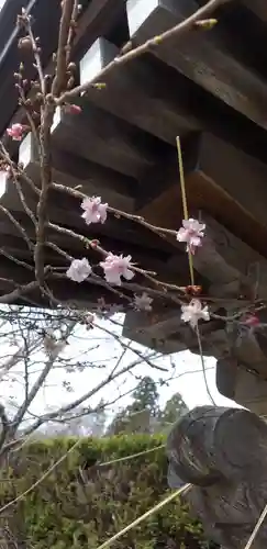 龍本寺(青森県)