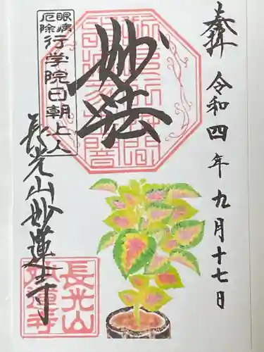 妙蓮寺の御朱印