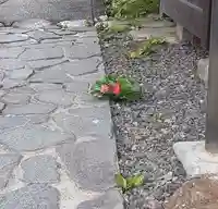 西方山極楽寺の自然