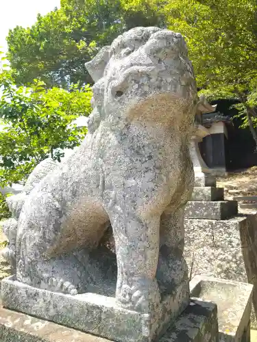 青江神社の狛犬