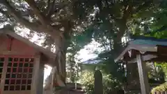 鹿島神社の建物その他