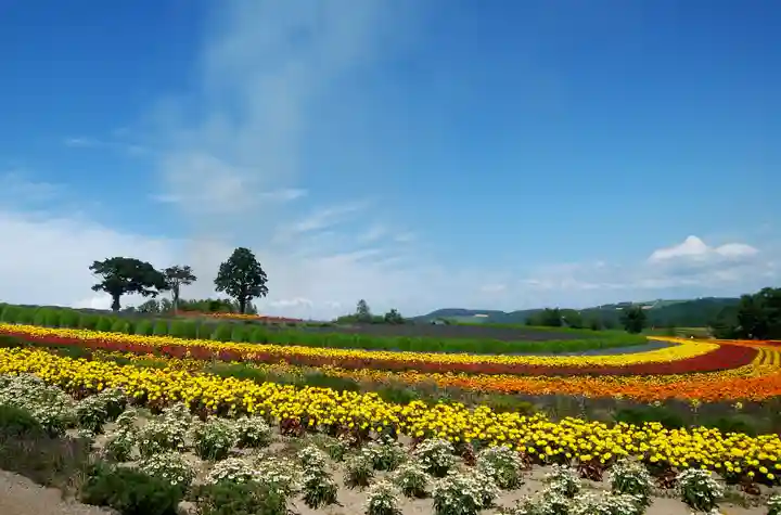 美瑛神社の周辺
