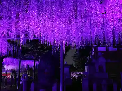 葛井寺(大阪府)