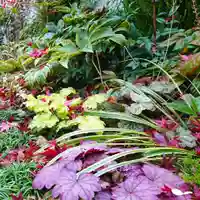 寿量山 速成寺の庭園