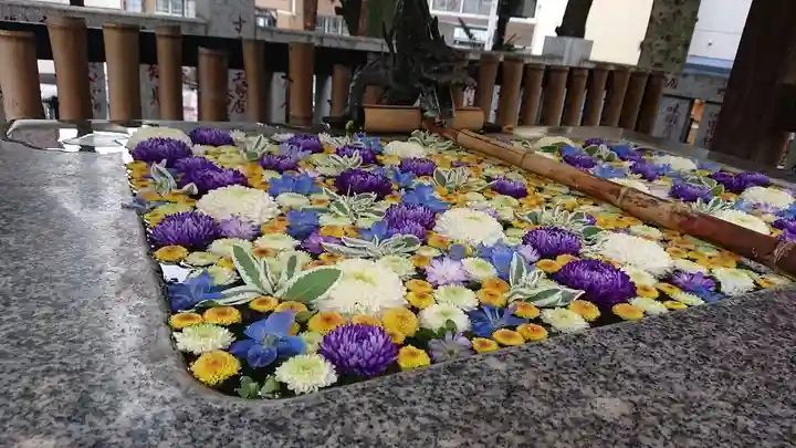 高円寺氷川神社(東京都)