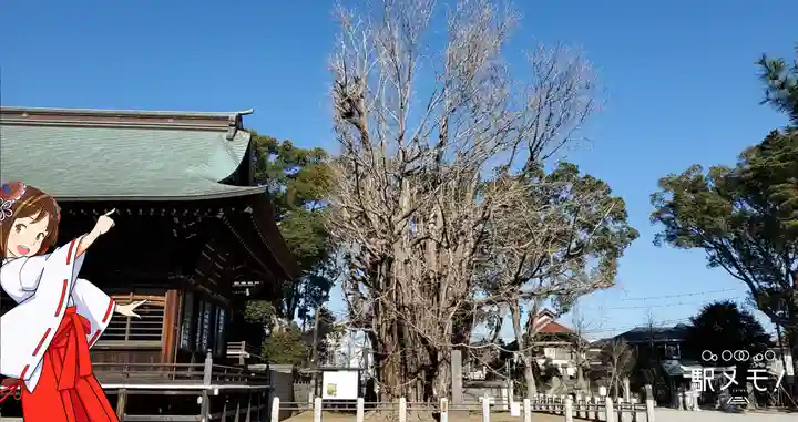 葛飾八幡宮のその他建物