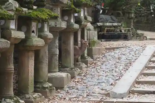 春日大社(奈良県)