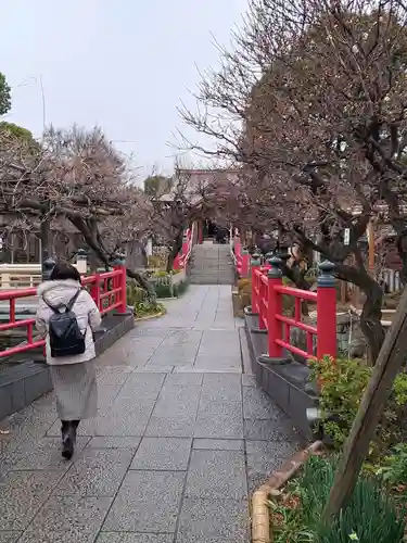 亀戸天神社(東京都)