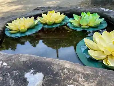 慈尊院の手水舎