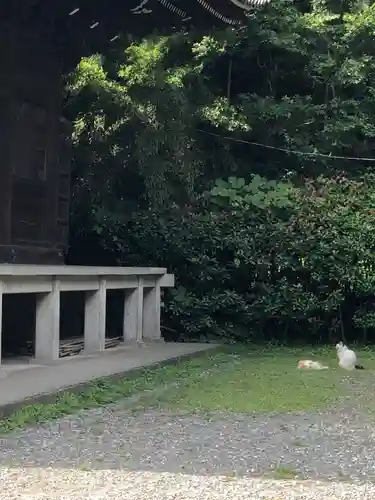 稱名寺(神奈川県)