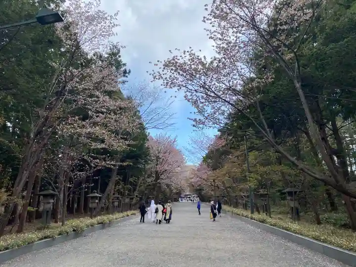 北海道神宮の景色