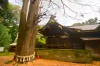 玉敷神社(埼玉県)