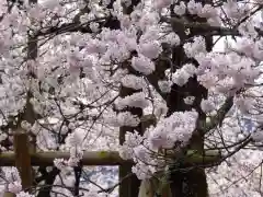 実相寺の自然