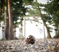 志那神社の自然