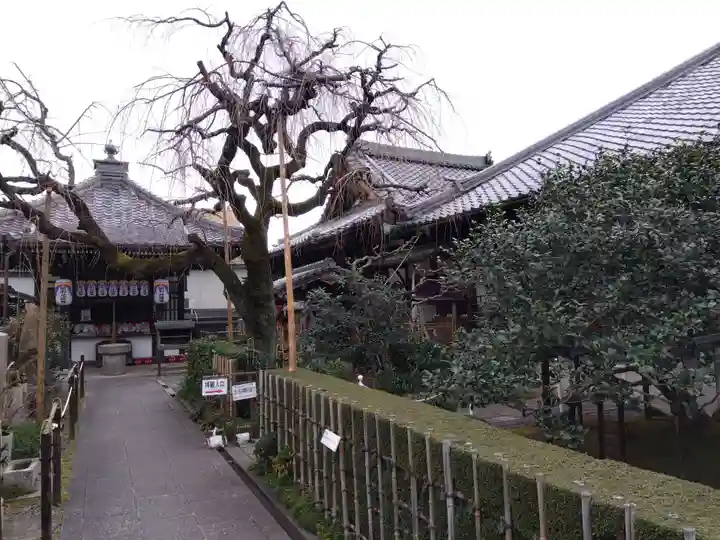 地蔵院(椿寺)(京都府)