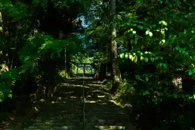 龍尾神社(静岡県)