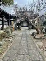 本寿寺の{uncategorized: "未分類", other: "その他", undefined: "問題あり", building: "その他建物", grave: "お墓", sacred_gate: "鳥居", guardian: "狛犬", statue: "像", buddha: "仏像", history: "歴史", nature: "自然", garden: "庭園", animal: "動物", pagoda: "塔", temizu: "手水舎", mountain_gate: "山門・神門", sanctuary: "本殿・本堂", subordinate: "末社・摂社", art: "芸術", scenery: "景色", jizo: "地蔵", ema: "絵馬", goshuin: "御朱印", omikuji: "おみくじ", items: "授与品その他", amulet: "お守り", goshuincho: "御朱印帳", eats: "食事", festival: "お祭り", votive_dance: "神楽", shichigosan: "七五三参", wedding: "結婚式", experience: "体験その他", initially: "初詣", around: "周辺", anti_infection: "感染症対策"}