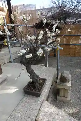 菅原天満宮（菅原神社）のその他建物