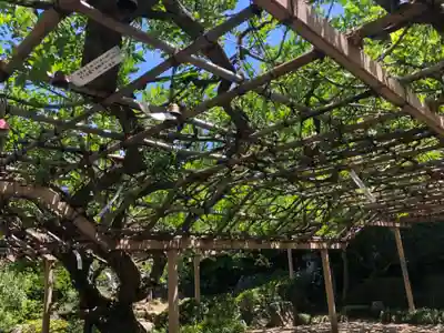 金蛇水神社(宮城県)