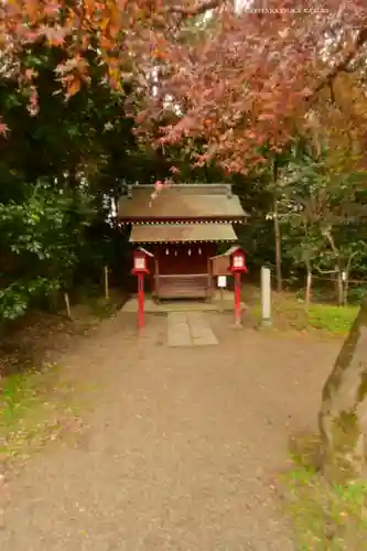 鷲宮神社(埼玉県)