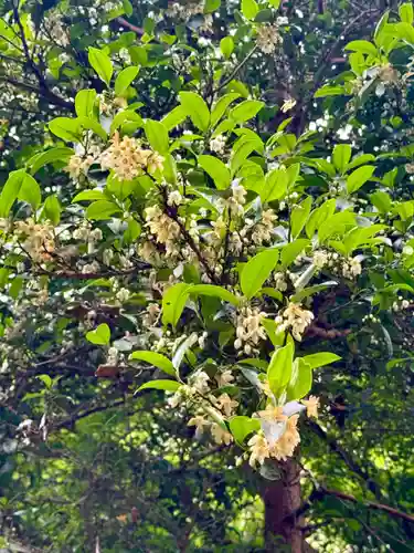 御上神社(滋賀県)