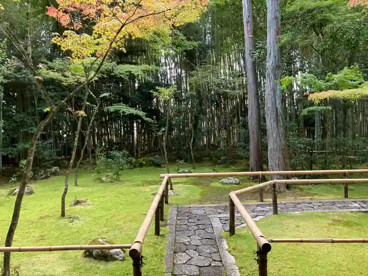 大徳寺(京都府)