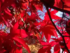 古峯神社の自然