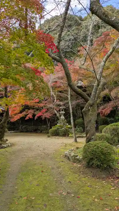 勝持寺(花の寺)(京都府)