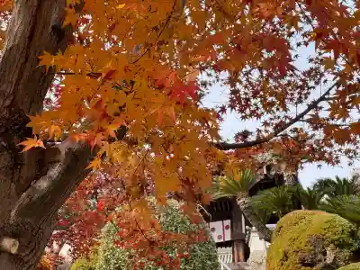 明王院(広島県)