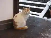 出町妙音堂の動物