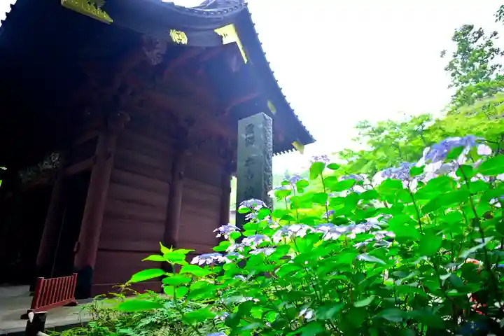 妙本寺(神奈川県)