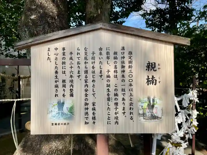 溝口神社の{uncategorized: "未分類", other: "その他", undefined: "問題あり", building: "その他建物", grave: "お墓", sacred_gate: "鳥居", guardian: "狛犬", statue: "像", buddha: "仏像", history: "歴史", nature: "自然", garden: "庭園", animal: "動物", pagoda: "塔", temizu: "手水舎", mountain_gate: "山門・神門", sanctuary: "本殿・本堂", subordinate: "末社・摂社", art: "芸術", scenery: "景色", jizo: "地蔵", ema: "絵馬", goshuin: "御朱印", omikuji: "おみくじ", items: "授与品その他", amulet: "お守り", goshuincho: "御朱印帳", eats: "食事", festival: "お祭り", votive_dance: "神楽", shichigosan: "七五三参", wedding: "結婚式", experience: "体験その他", initially: "初詣", around: "周辺", anti_infection: "感染症対策"}