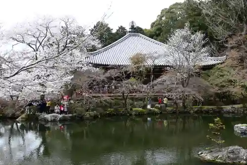 醍醐寺(京都府)