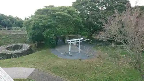 龍光大神の鳥居